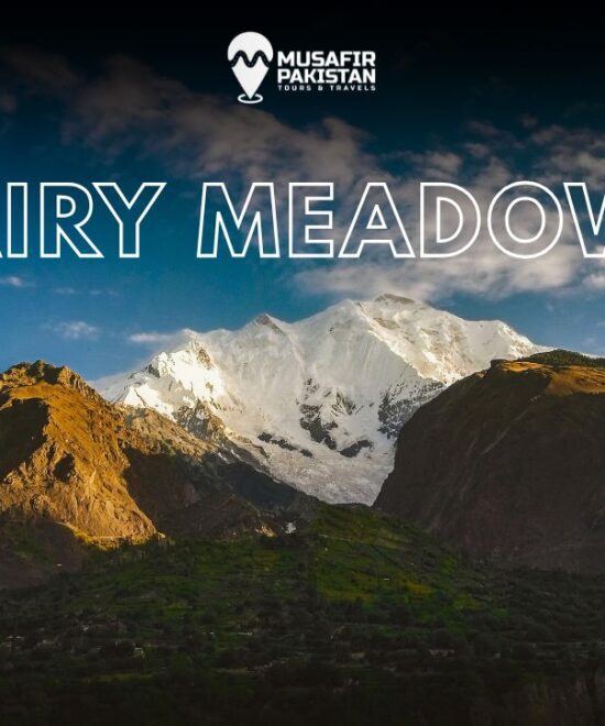 09 Days Fairy Meadows Trip From KHI